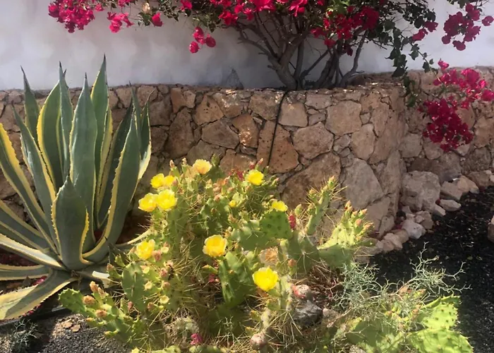 Apartamento Esmeralda 15 *