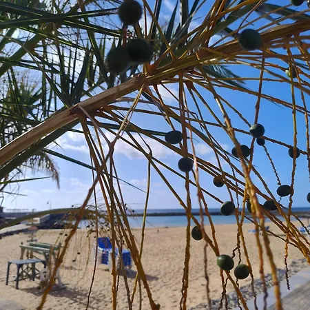 Apartman Esmeralda 15